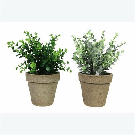 YOUNGS Artificial Plants in Planter - 2 Assorted 12601